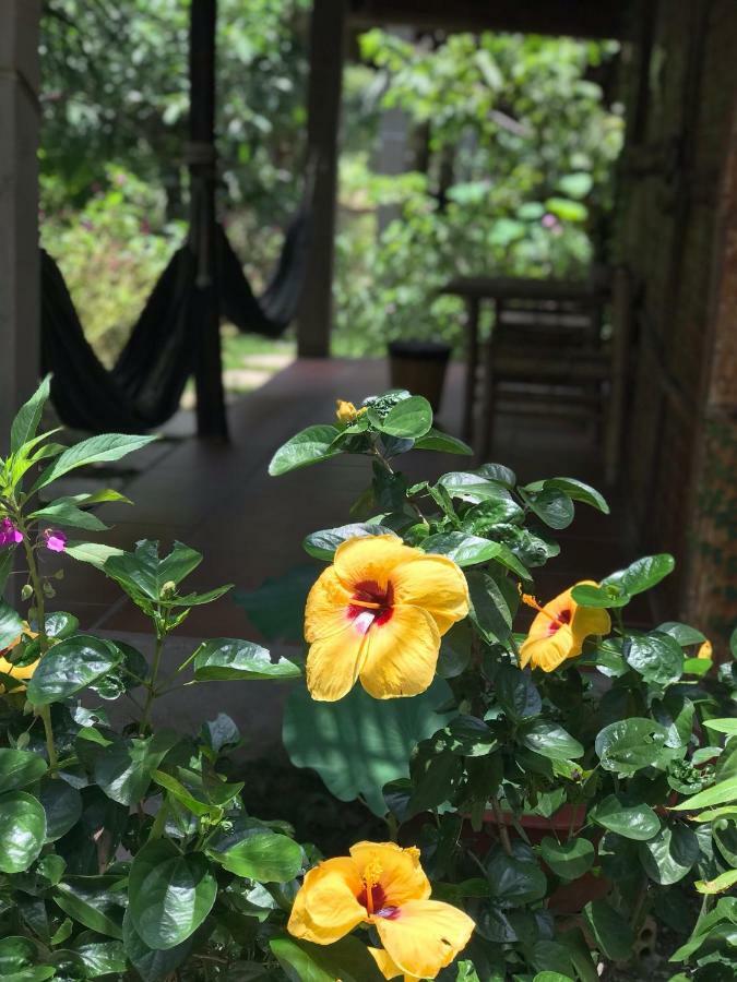 Phuc Sinh Homestay Ben Tre Exterior photo